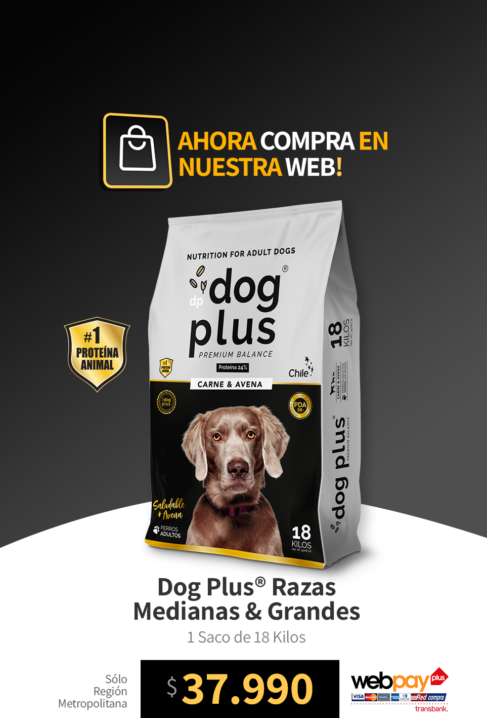 la comida para cachorros es buena para perros mayores